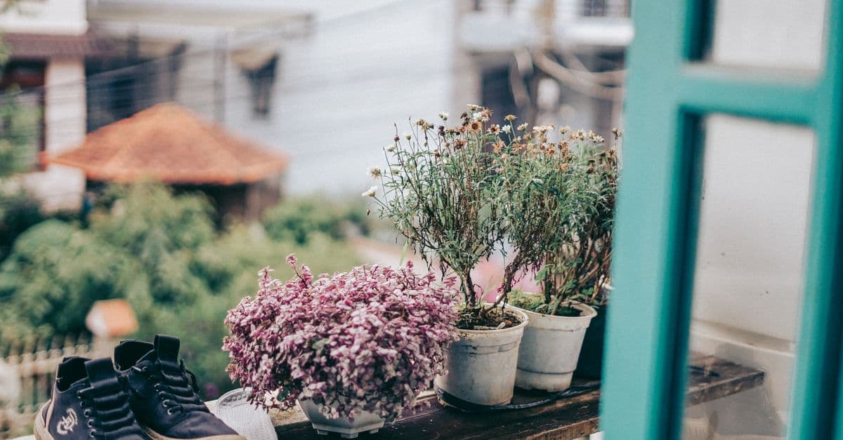 Como Decorar Varanda Pequena com Plantas: Ideias, Vasos e Suportes para Aproveitar Espaço