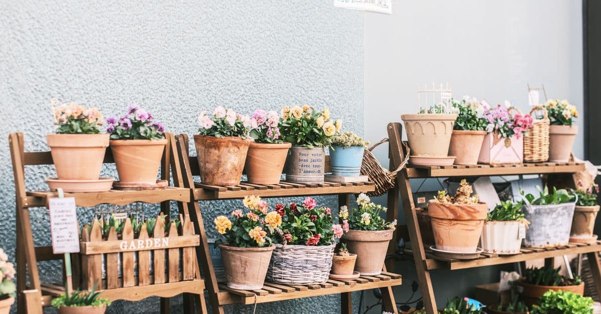 Melhores Vasos para Apartamento: Autoirrigável, Parede, Chão ou Pendente?