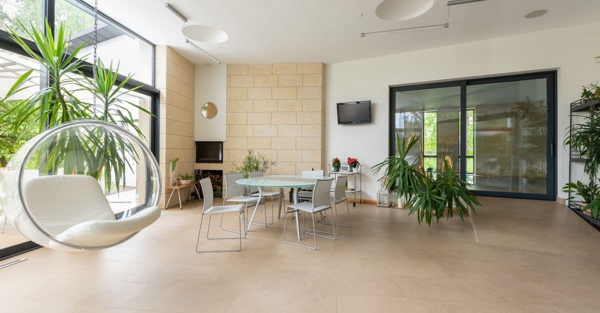 Plantas para Sala de Estar: Espécies Bonitas para Pouca Luz, Vasos e Decoração