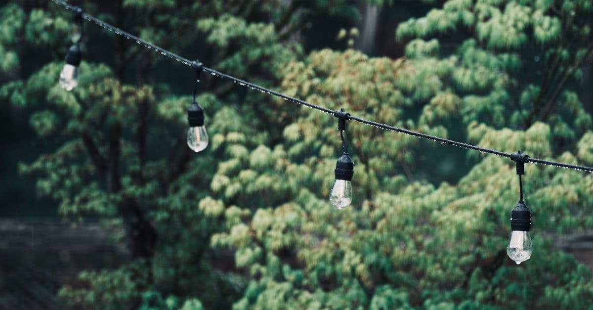 Repelente Natural para Quintal e Varanda: Plantas, Velas e Soluções para Afastar Mosquitos
